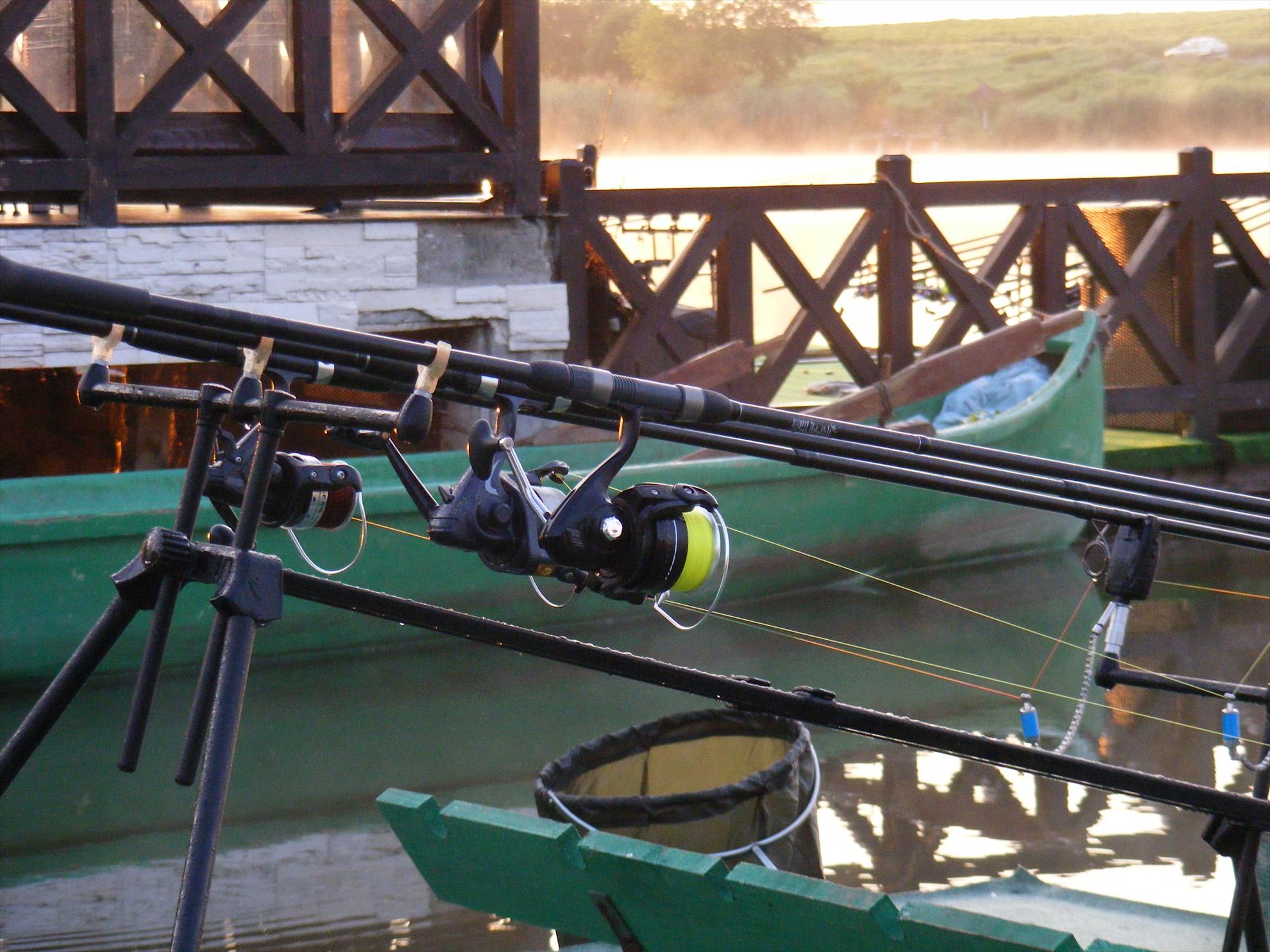 Balotesti iunie-2014 - dscf1066.JPG